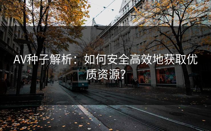 AV种子解析：如何安全高效地获取优质资源？
