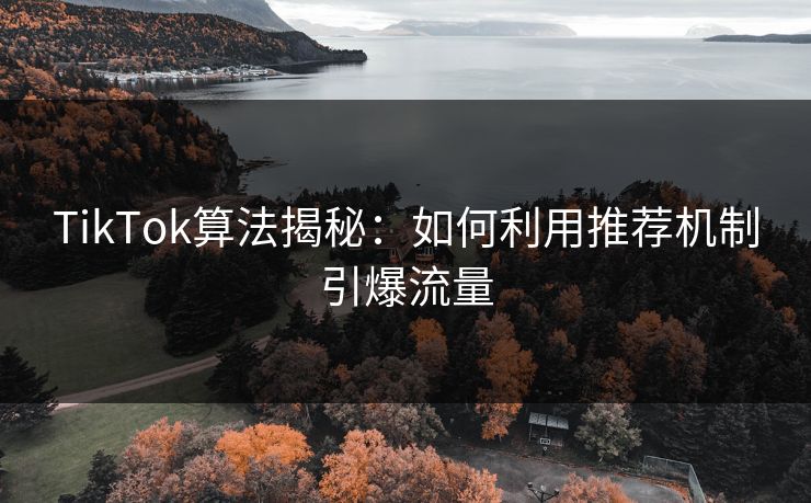TikTok算法揭秘：如何利用推荐机制引爆流量