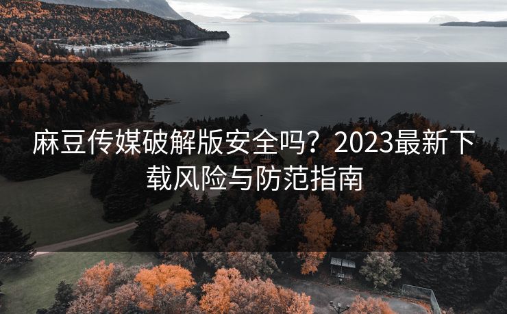 麻豆传媒破解版安全吗？2023最新下载风险与防范指南  第1张