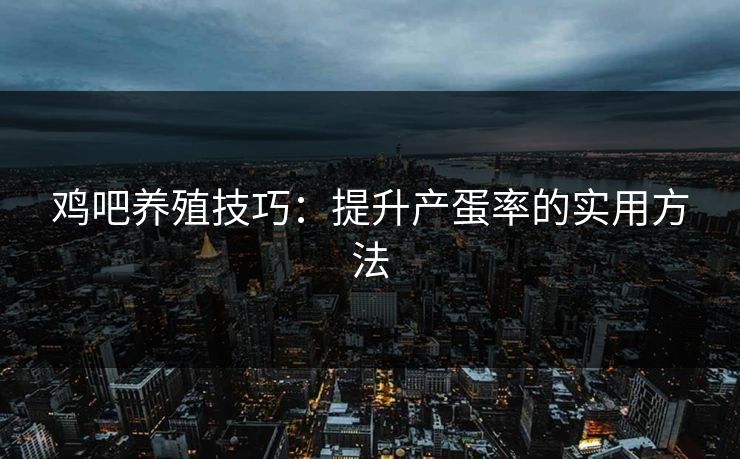 鸡吧养殖技巧：提升产蛋率的实用方法