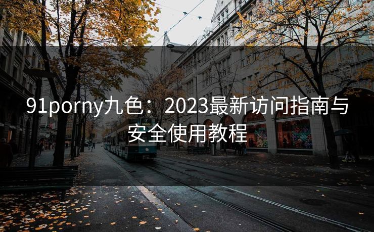 91porny九色：2023最新访问指南与安全使用教程
