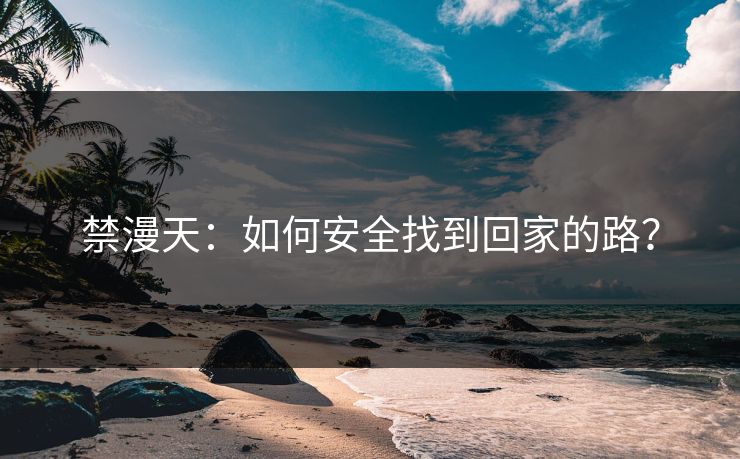 禁漫天：如何安全找到回家的路？