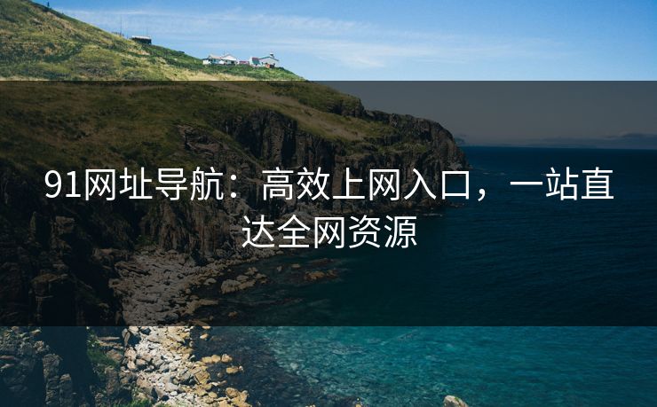 91网址导航:高效上网入口,一站直达全网资源 第1张 91网址导航:高效上网入口,一站直达全网资源 第1张