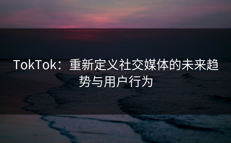 TokTok：重新定义社交媒体的未来趋势与用户行为  第1张